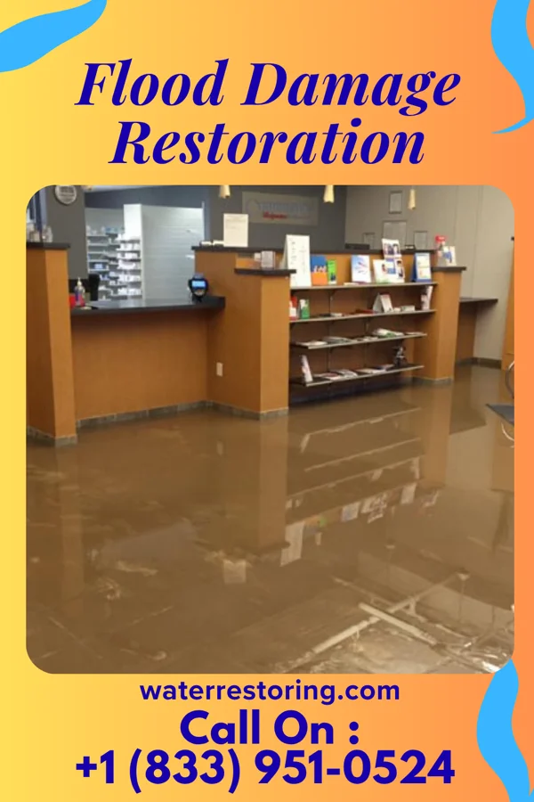Flood Damage Restoration in Otter Lake, MI