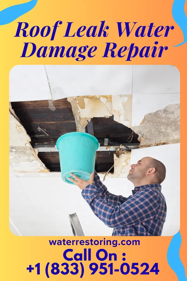 Roof Leak Water Damage Repair in Otter Lake, MI
