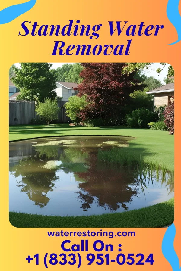 Standing Water Removal in Otter Lake, MI